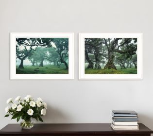 Set Of Two Enchanted Forest 1 White Framed Print Wall Art