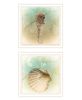 Set Of Two The Sea III and Sea IV 2 White Framed Print Wall Art