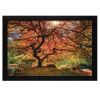 First Colors of Fall Black Framed Print Wall Art