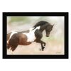 Wild Horses Black Framed Print Wall Art