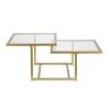 43" Gold Glass And Steel Square Coffee Table With Two Shelves