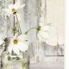 White Blossoms Print Wall Art