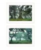 Set Of Two Enchanted Forest Print Wall Art