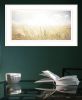 Fields of Gold Framed Print Wall Art