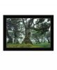 Enchanted Forest Print Wall Art