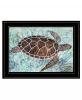 Sea Turtles Collage Print Wall Art