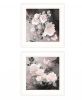 Set Of Two Noir Roses Print Wall Art